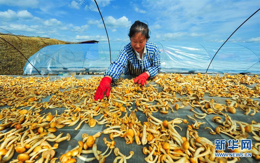 探访内蒙古“三少民族”自治旗 探访内蒙古“三少民族”自治旗