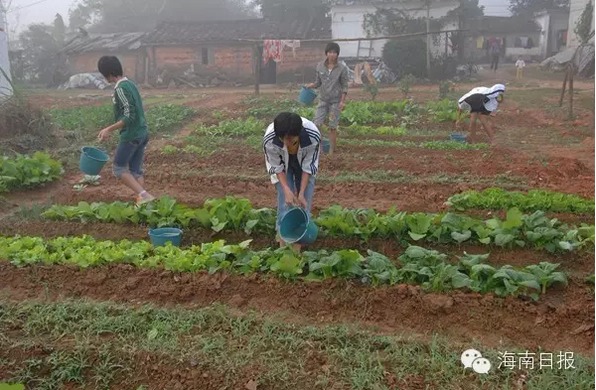 琼中县委县政府祝贺琼中女足勇夺冠军 并给予