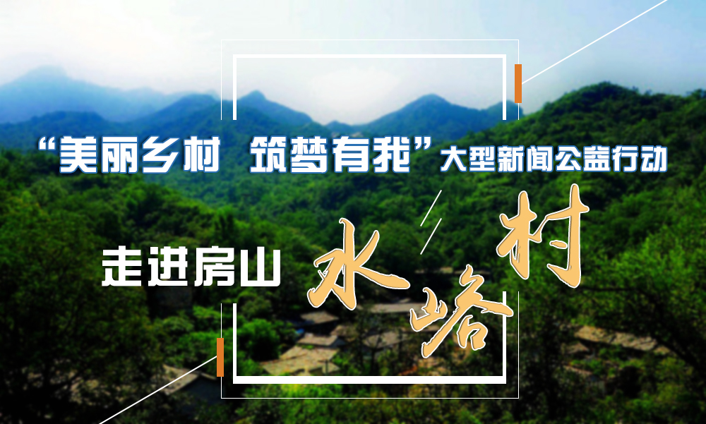 “美丽乡村 筑梦有我”新闻公益行动走进水峪村