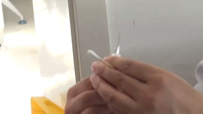 北京流感疫苗正在接种 哪些人群不能打? 北京流感疫苗正在接种 哪些人群不能打?