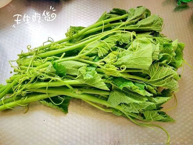 通常情况下,人们食用南瓜叶子是没有副作用存在,只是对于那些心火过