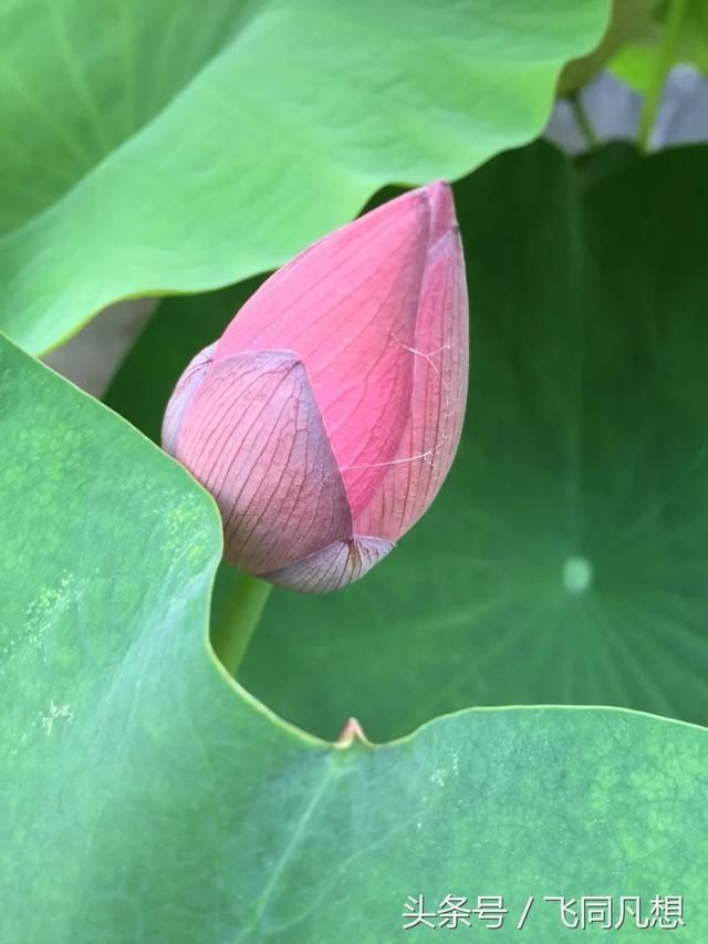 农村相亲,遇到这样的男朋友要不要分呢