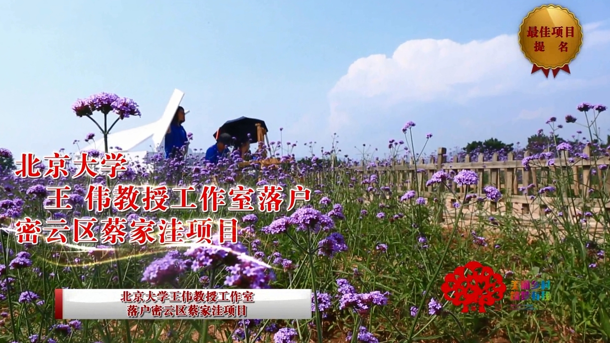 “美丽乡村 筑梦有我”第一季最佳项目奖 “美丽乡村 筑梦有我”第一季最佳项目奖