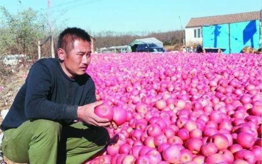 中国最勤劳的是农民,为何最穷的也是农民?