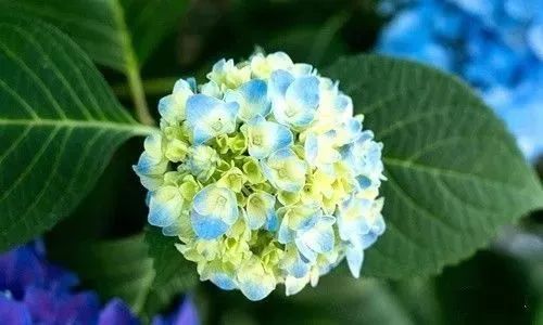 2018老同学聚会三大纪律,每位同学最好看看!牢