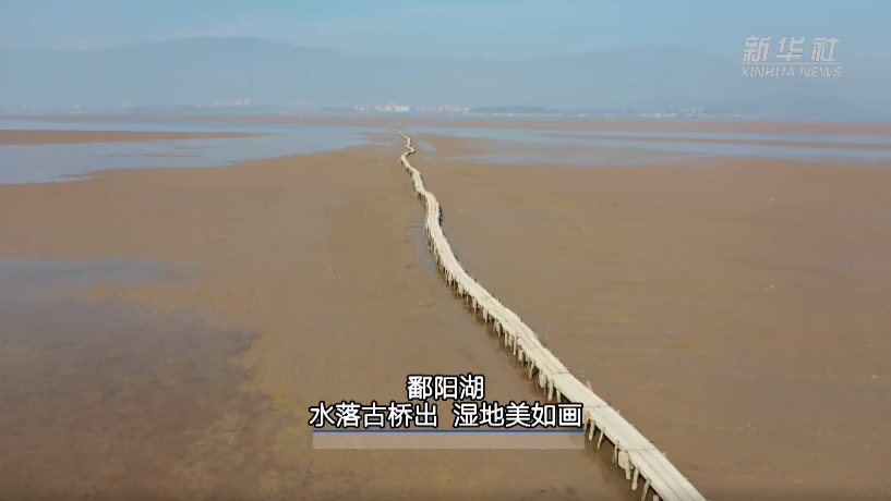 鄱阳湖:水落古桥出 湿地美如画 鄱阳湖:水落古桥出 湿地美如画