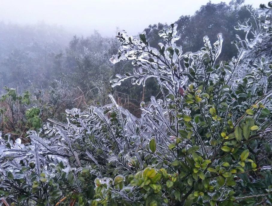 by:西江1号 封开县的麒麟山顶 也披着厚厚的白雪装备