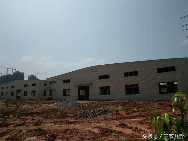 农村不予确权被收回的土地将这样处理,农民要