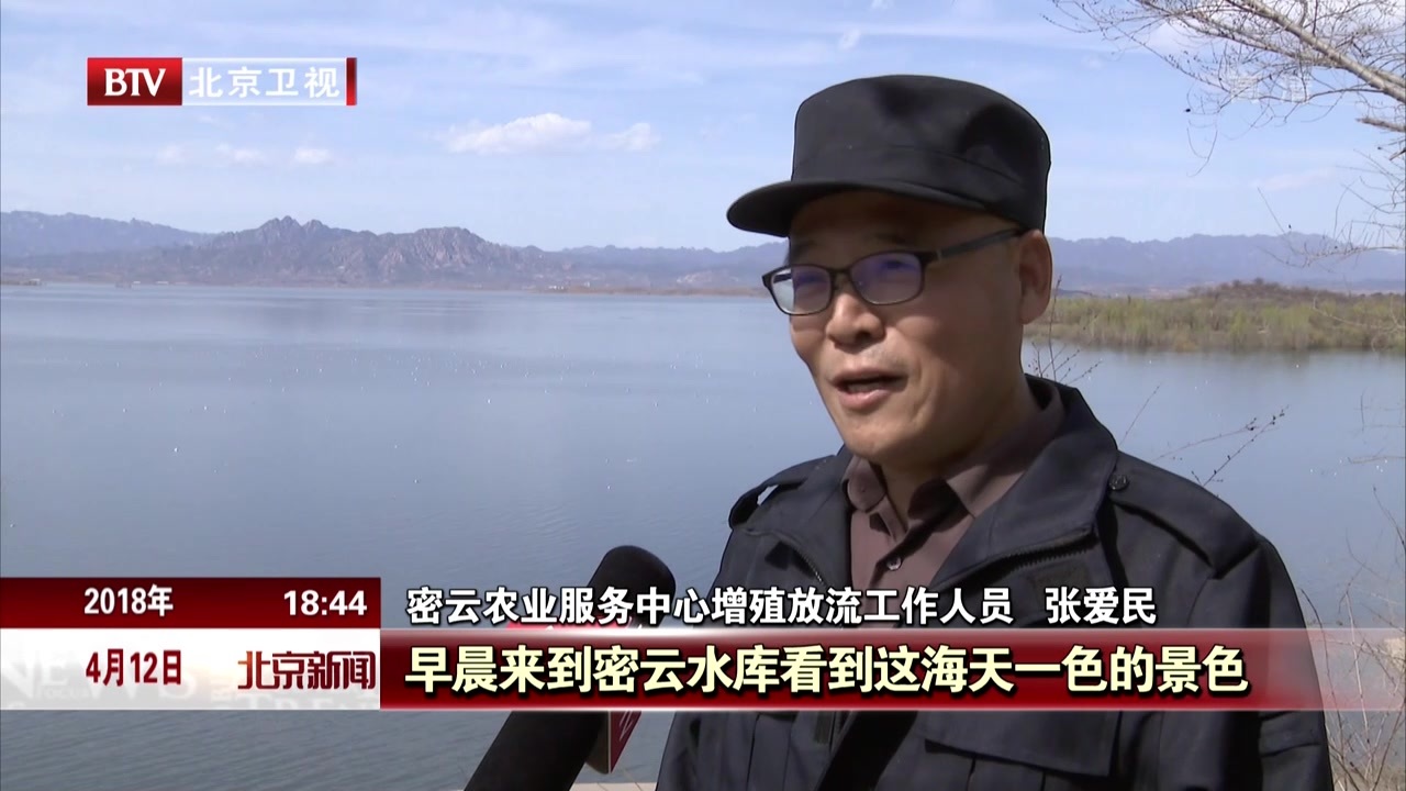 北京:千万只夏候鸟 栖息觅食密云水库 北京:千万只夏候鸟 栖息觅食密云水库