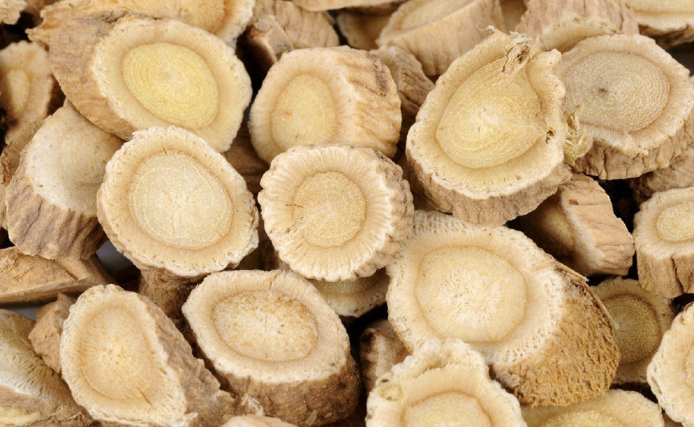 传统中药,黄芪的功效作用与注意事项