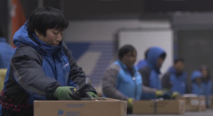 《中国创业者》快递人生 《中国创业者》快递人生