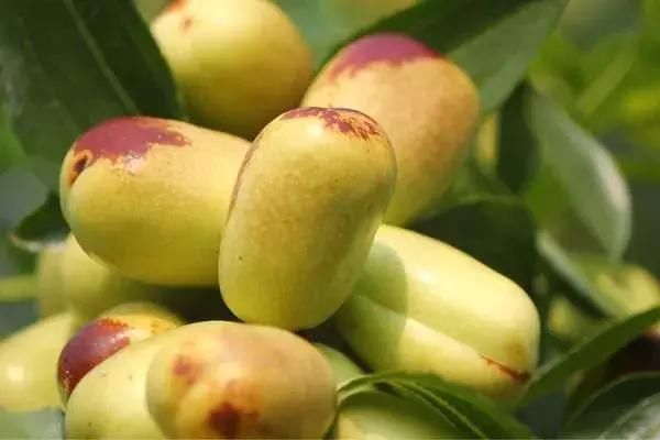 四川这几个小县城被国家点名,只因为美得太惊