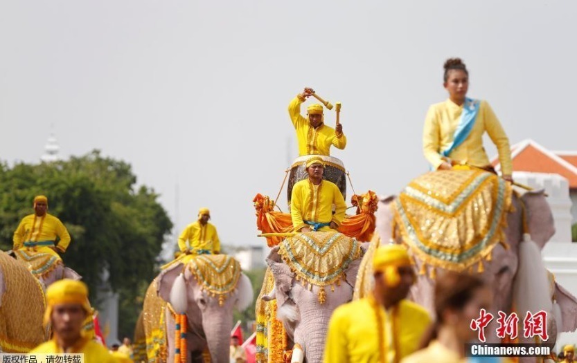 当地时间5月7日，泰国曼谷大皇宫附近，象夫骑着大象民众一起游行庆祝，向泰国国王玛哈·哇集拉隆功致敬。