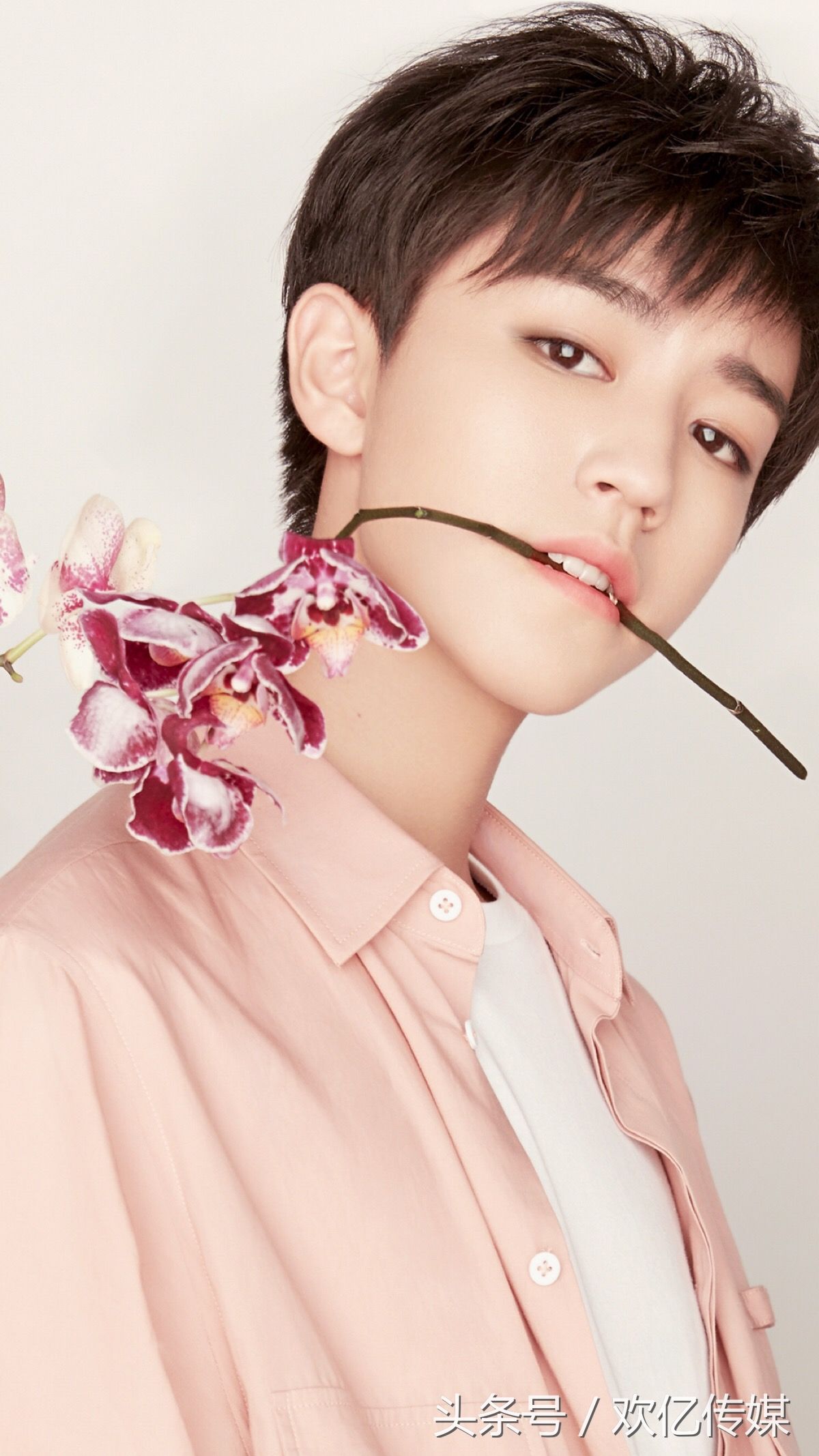 TFBOYS王俊凯 王俊凯图片 王俊凯高清手机壁