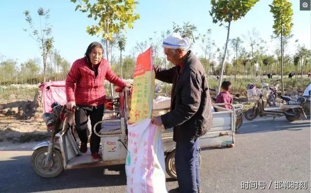 馆陶农民郭大嫂靠药材祁菊花挣100多万,100多