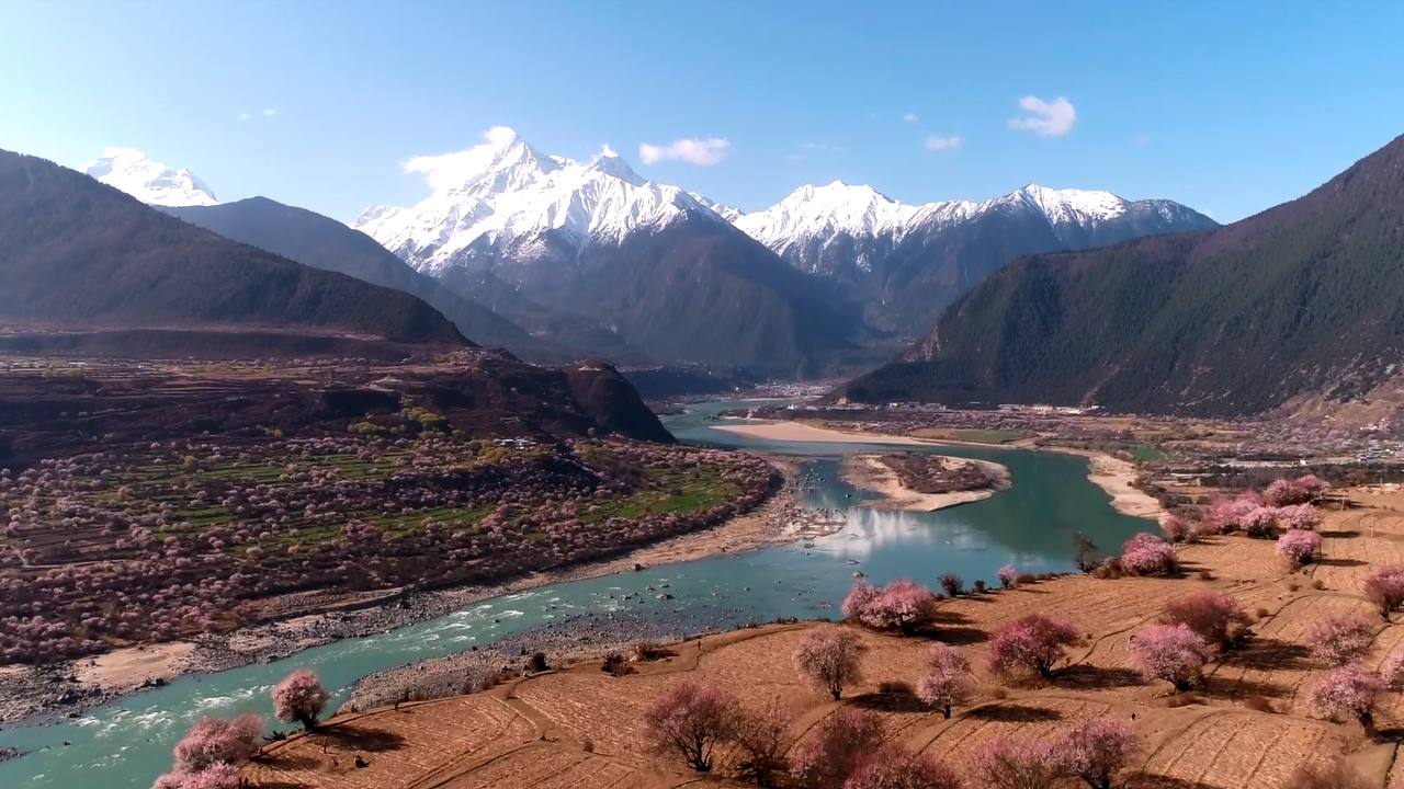 国内首部植物类纪录片《影响世界的中国植物》即将与大众见面