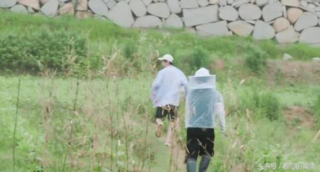 《向往2》高情商黄渤为何做事出格,因差点弄伤