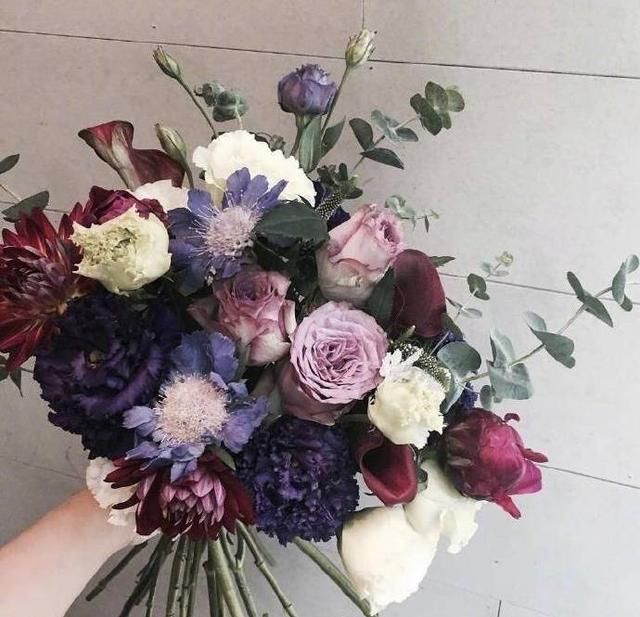 言情小说推荐|那些轻松搞笑又温馨治愈的宠文