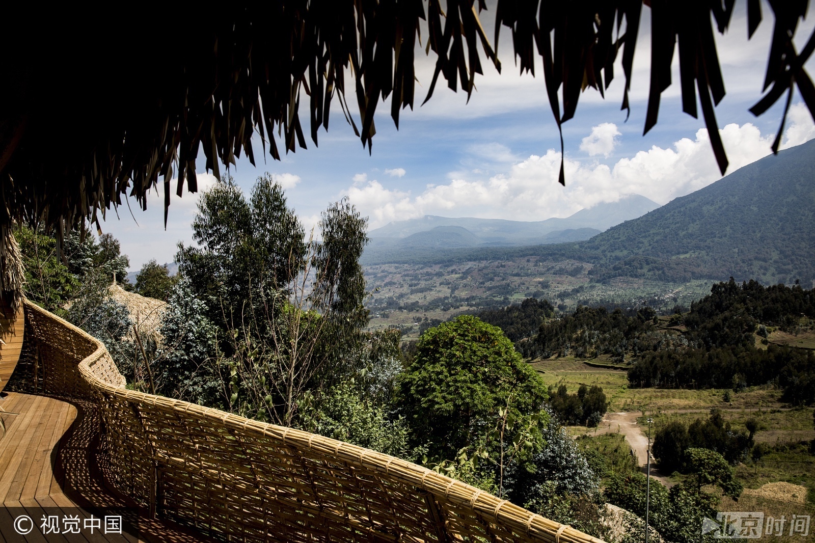 卢旺达火山上建豪华酒店 与大猩猩为邻