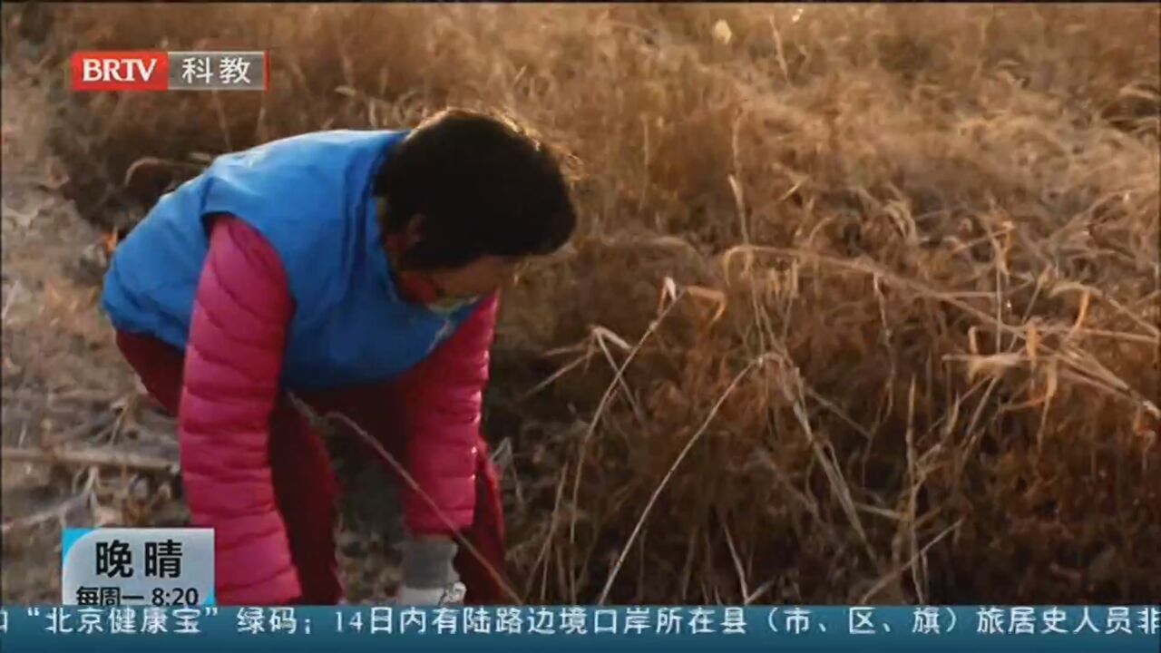 《晚晴》20211213运动者的健康“守护神” 《晚晴》20211213运动者的健康“守护神”