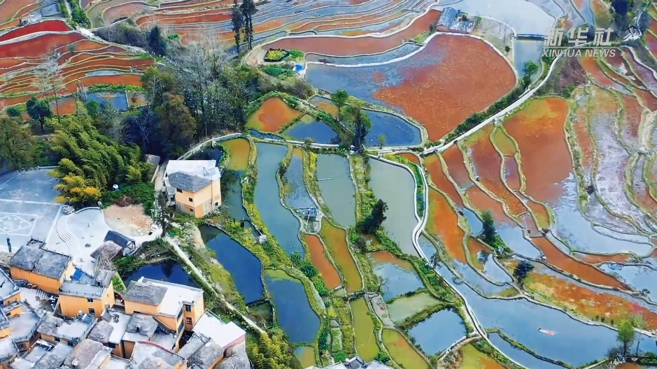 七彩“天梯”！丰水期的哈尼梯田宛如天空之镜