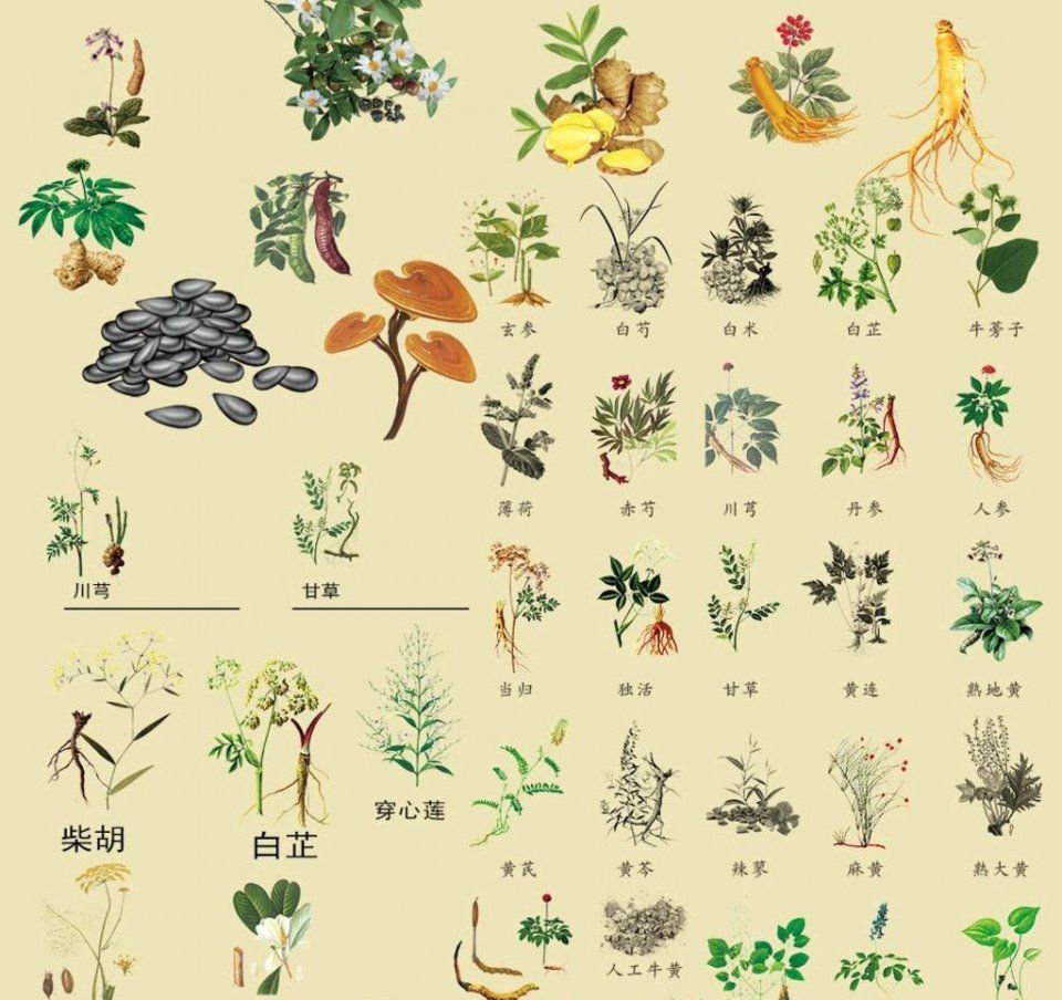 专家多年临床经验表明:治疗灰指甲,吃再多的药