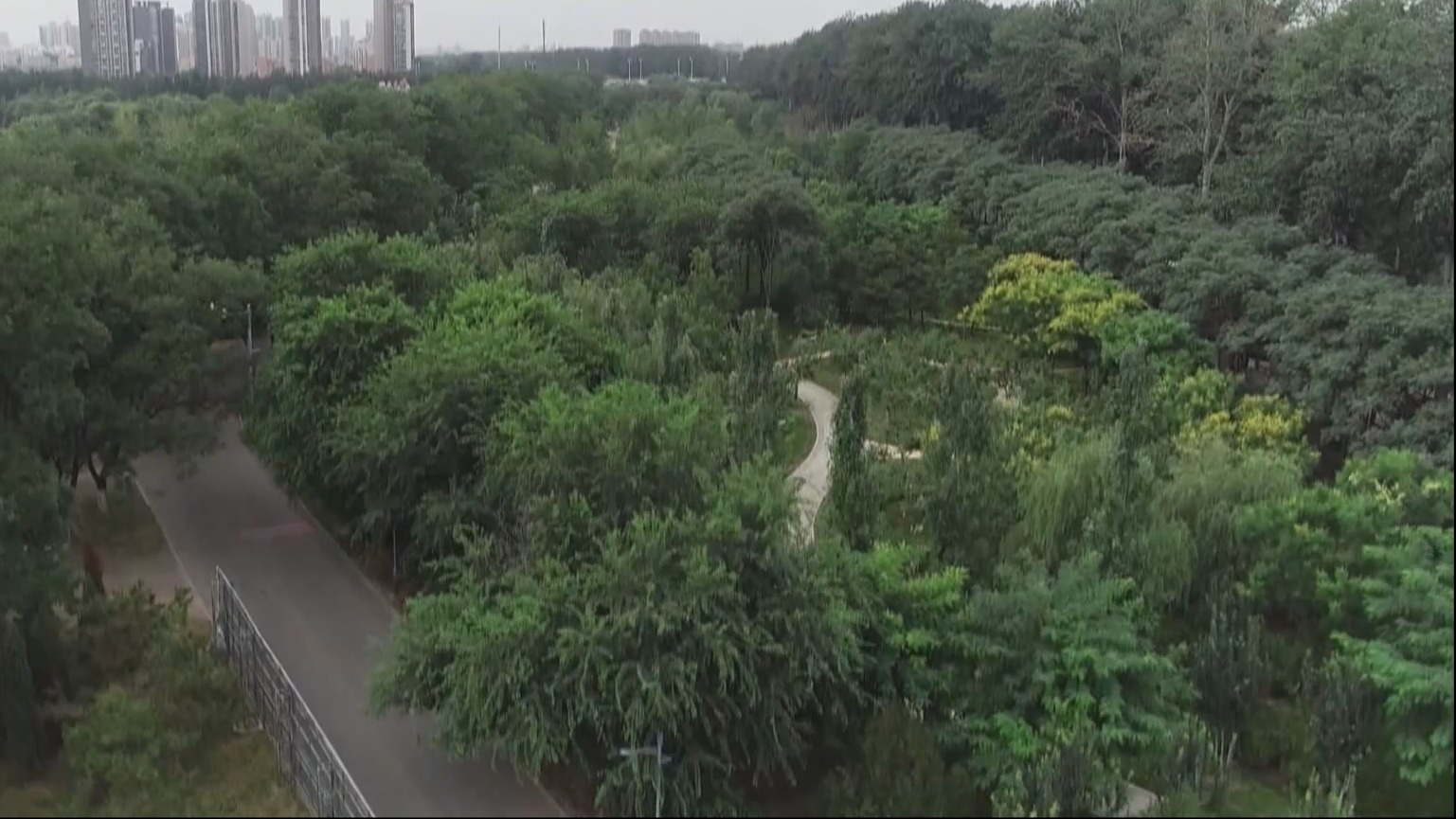 全市加快构建5000多公里绿道网络
