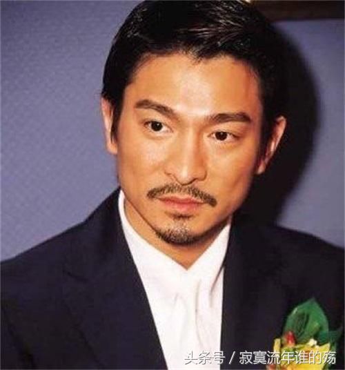 刘德华 金城武曾被封为亚洲最帅的男神,混血的五官非常有气质,长相丰