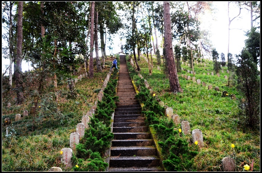 据光明网报道，中缅就建设远征军阵亡将士陵园于8月4日至8日在缅甸仰光进行了协商，缅官方在与工作组进行沟通的过程中，对中国远征军赴缅作战充分肯定，认为其加速了缅甸的独立与解放。图为腾冲国殇墓园