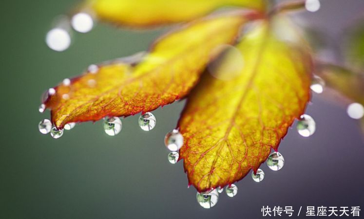 先有喜鹊叫,再有财神到,10月彩票中奖,一发不可