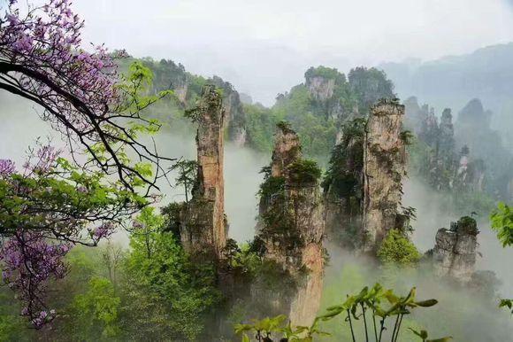 张家界开车来旅游的朋友,不知道车停那里(正确的游玩选择)