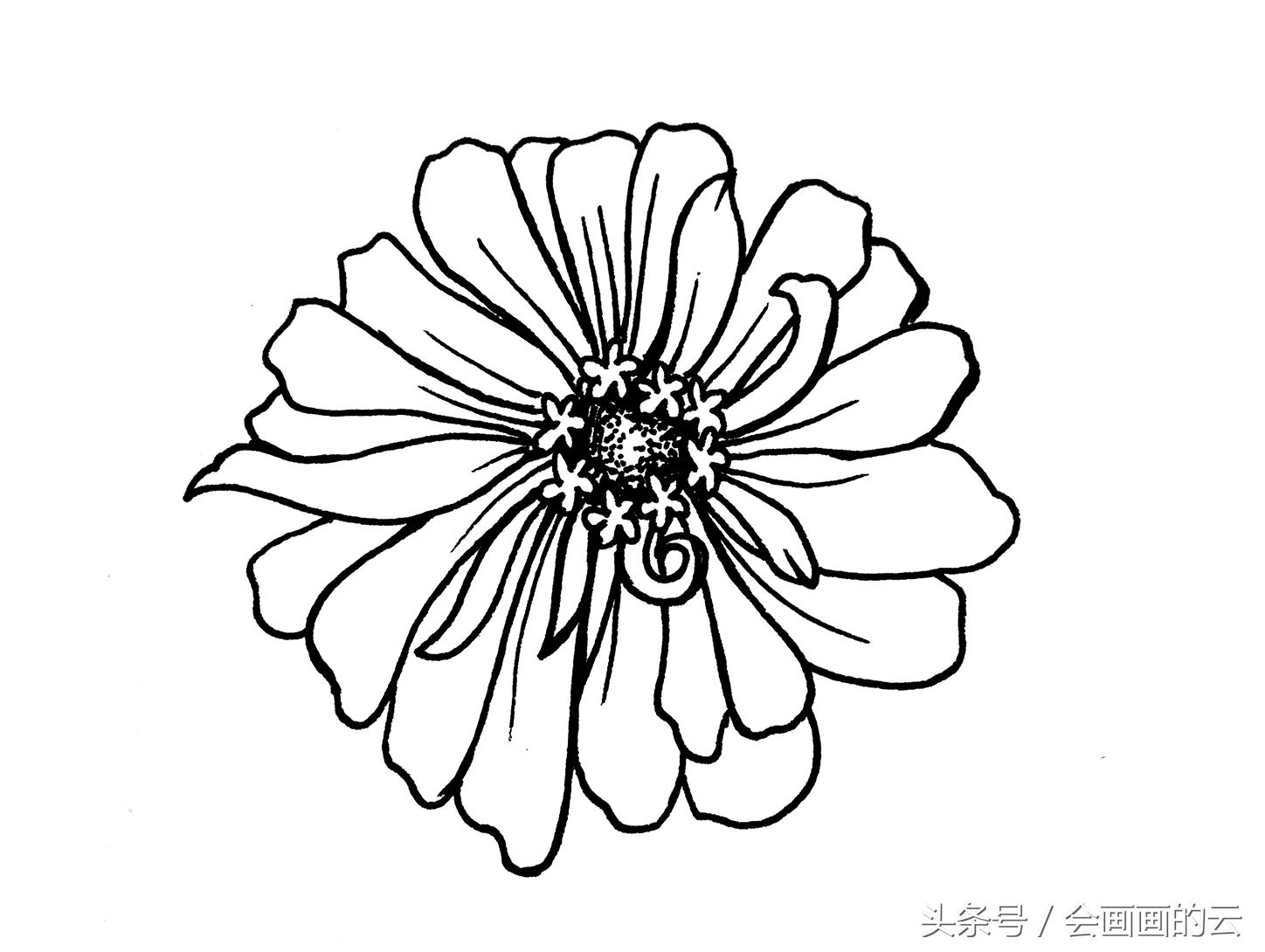 简笔画入门植物线描手绘图,一起画起来吧!