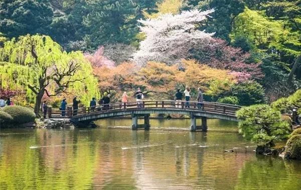 前方发来电报:2018日本樱花花期预测