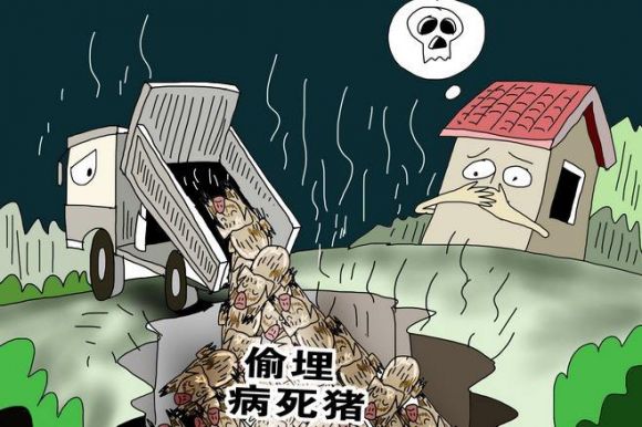 湖州偷埋病死猪涉案公司蹊跷案:被侄子起诉索赔3000万 遭职务侵占举报