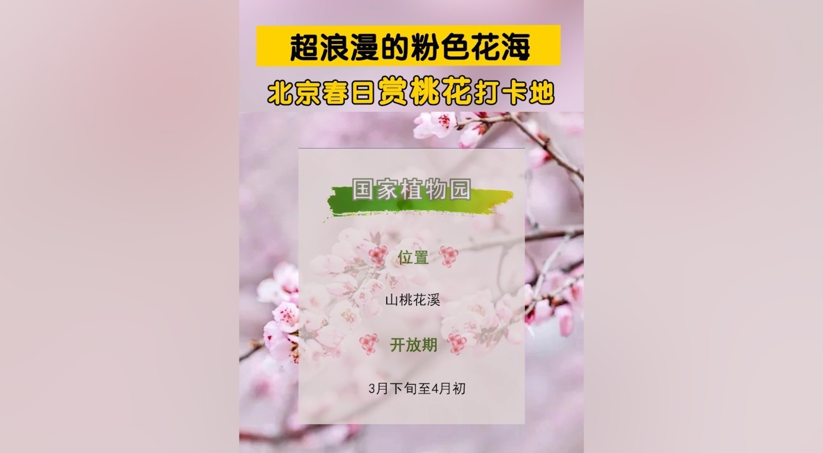 北京将迎来超浪漫的粉色花海~春日赏桃花打卡地！