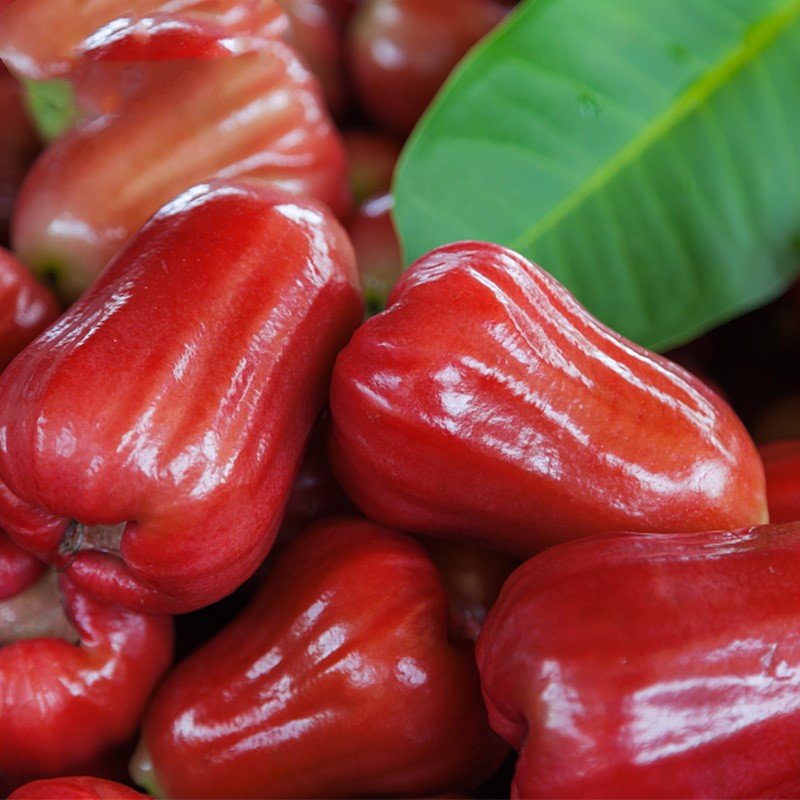 全球营养价值最高的金牌水果,罕见的不得了,你