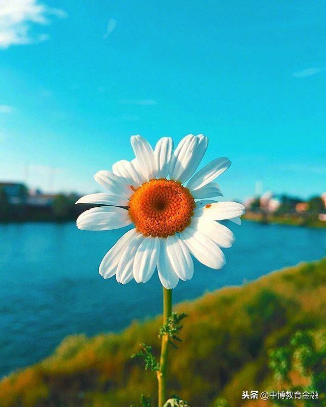 创业新点子新项目:可靠的家庭小型创业项目,马