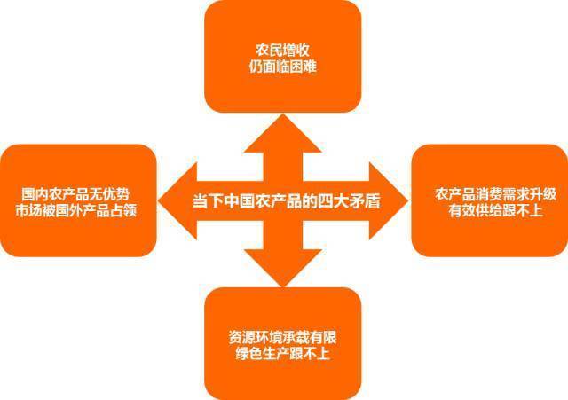 村店优选新零售平台发布会:农产品电商的未来