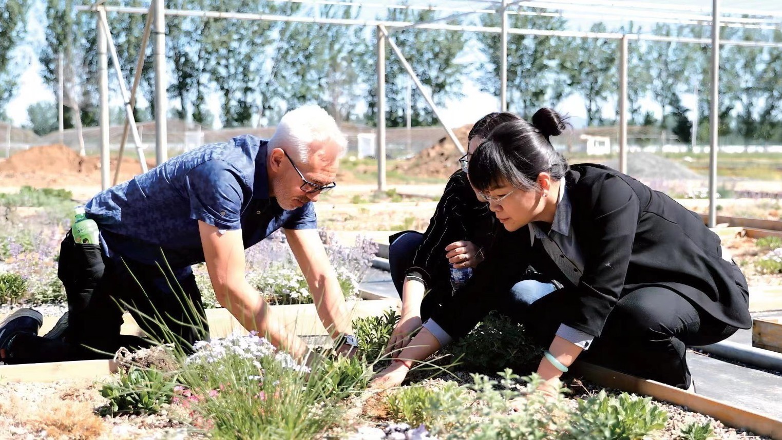 北京榜样人物故事:林巧玲《替山河妆成锦绣,把国土绘成丹青》_北京时间