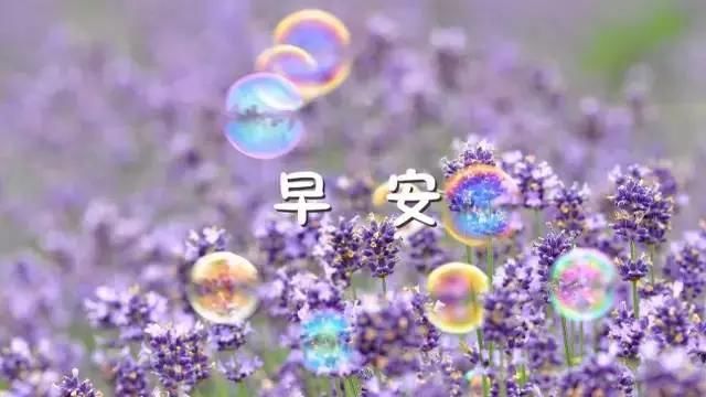 早安非常经典的励志语录 微信早上激励人的精