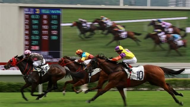 海南农垦与永泰能源、永泰集团拟在海南设合资