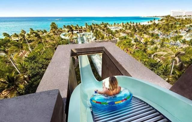 此时此刻我想变成一只猪,巴哈马猪岛的猪!