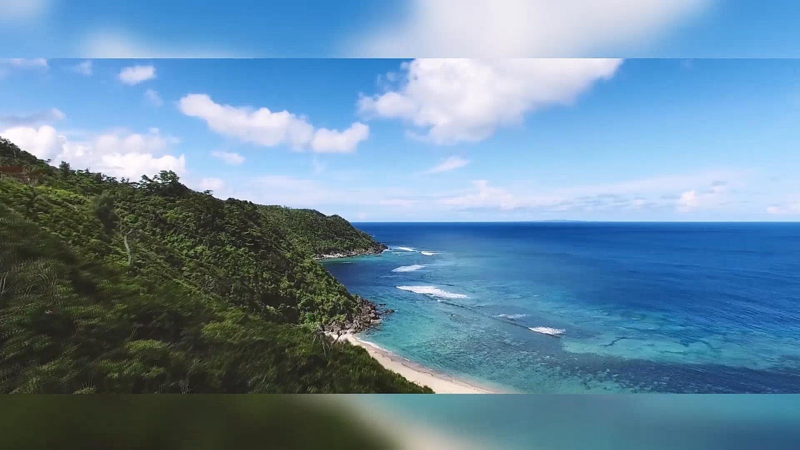 保护珍稀猫　日本西表岛将对游客限流