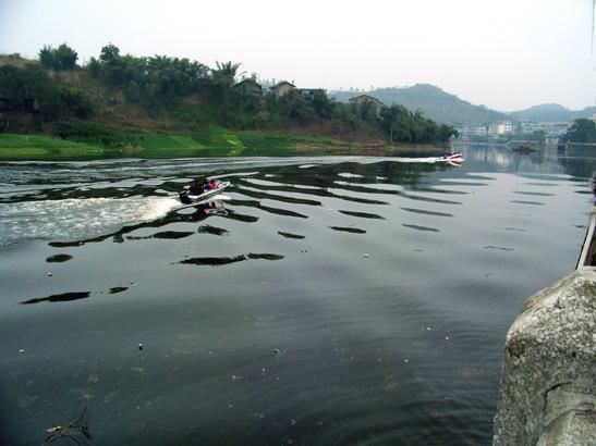 四川遂宁各区县面积排行榜