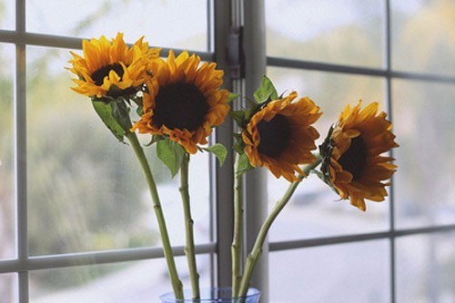 脸上有斑吃什么调理?自己的美自己做主