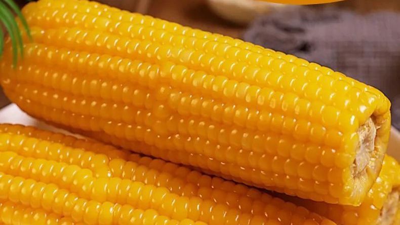 鲜食甜糯玉米，健康杂粮，香甜软糯，绵软粘牙，甜味丝丝入喉~