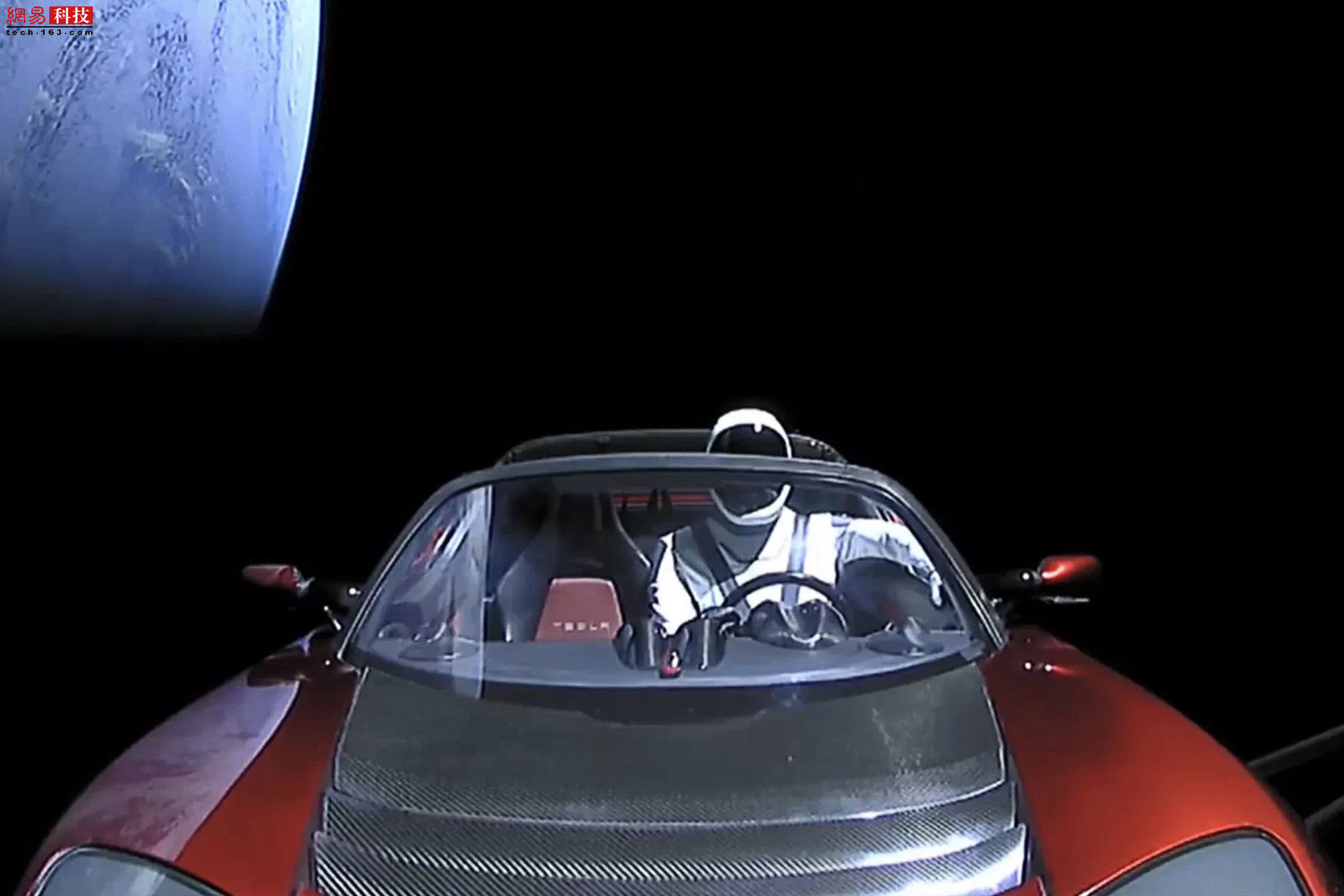 特斯拉飞上天 贪吃蟾蜍呕吐