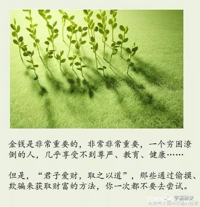 用教育感悟人生!父母一生必对子女所说的10句