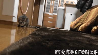 大哥，你看我拿棒球杆的姿势标准不?