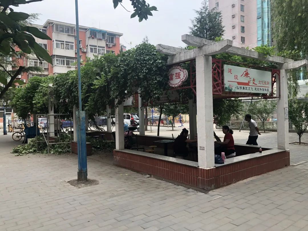 朝我说丨香河园街道:陈旧凉亭华丽变身 小院环境明显提升